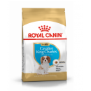 Royal Canin Cavalier King Charles Puppy