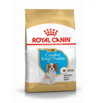 Royal Canin Cavalier King Charles Puppy