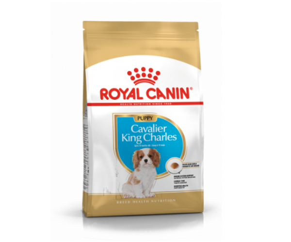Royal Canin Cavalier King Charles Puppy