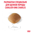 Royal Canin Cavalier King Charles Puppy